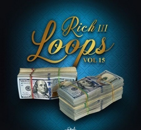 DiyMusicBiz Rich Loops Vol 15 WAV